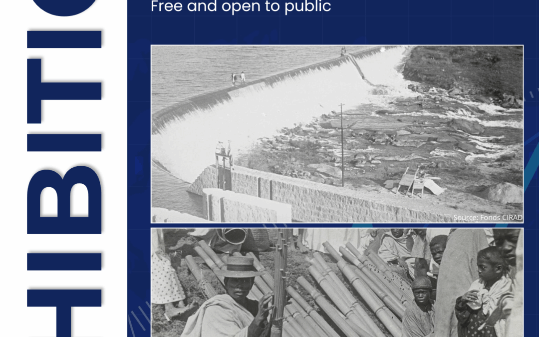 What if Madagascar’s economic history didn’t start in 1960 or 1896, but more than 1300 years ago?