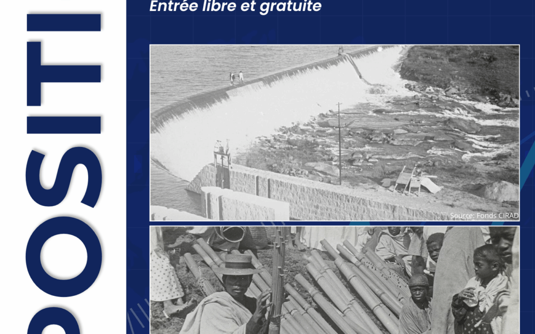 Et si l’histoire économique de Madagascar ne débutait ni en 1960, ni en 1896, mais bien il y a plus de 1300 ans ?